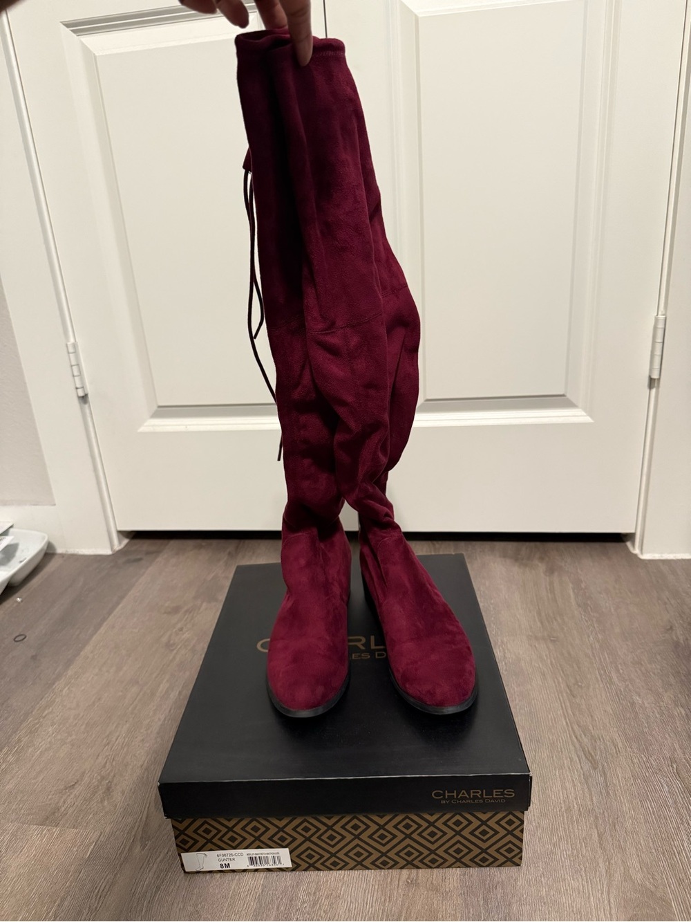 Charles by Charles David over the knee boots